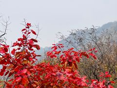 -香山公园