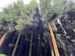 -太阳湾风景区
