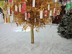 -世界之窗阿尔卑斯冰雪世界
