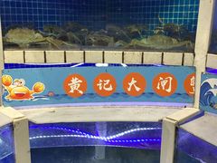 -黄记大闸蟹专卖店·活蟹·醉蟹