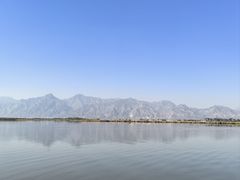 -哈素海