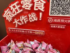 -海底捞火锅(铂澜大象城店)