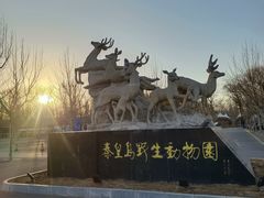 -秦皇岛野生动物园