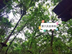 -WeLope紫金山探险公园
