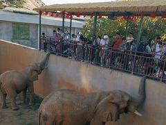 -西霞口神雕山野生动物世界
