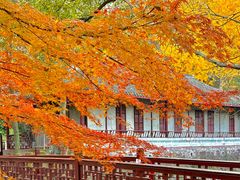 -狼山风景名胜区