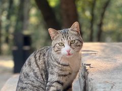 -昆明市金殿名胜区