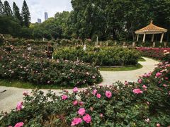 -人民公园(罗湖区)