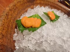 -月龍吟(朝龙汇店)