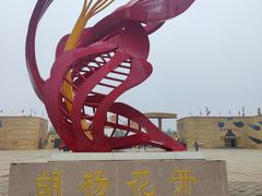 -金塔沙漠胡杨林景区