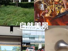 -YAFEE雅菲·粤菜·湘菜·融合菜(魏公村店)