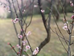 -蜀冈西峰生态公园