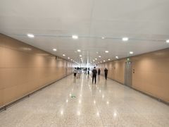 -青岛胶东国际机场
