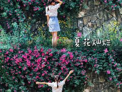 -铁山坪森林公园