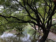 -武汉姚家山旅游景区