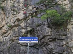 -青峰峡国家森林公园