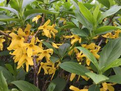 -白塘生态植物园