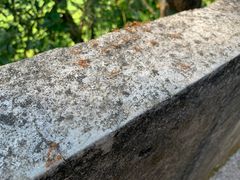 -求水山公园