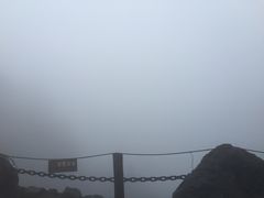 -望天鹅景区