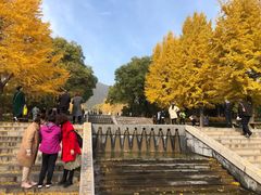-晋祠公园