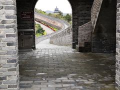 -黄贤森林公园