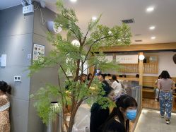 -南昌艾莱芙美容医院