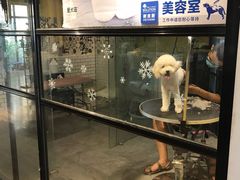-西元前宠物酒店(郑庄府邸店)