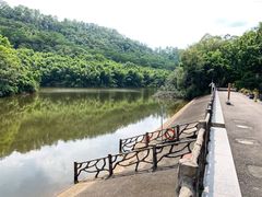 -滴水岩森林公园