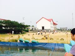 -碧海金沙