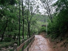 -大岭沟猕猴桃谷风景区