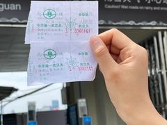 -武汉关码头(轮渡站)