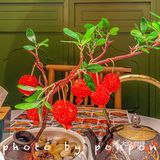 到西安不到这家陕菜馆打卡等于白来！