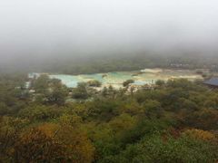 -黄龙山原始森林景区