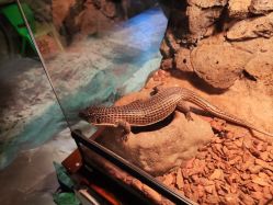 -酷嗒动物文化乐园(cutezoo西溪乐天城店)