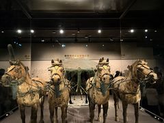 -秦始皇帝陵博物院-丽山园