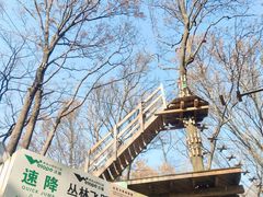 -WeLope紫金山探险公园