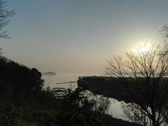 -上海市保健医疗中心(华东疗养院)