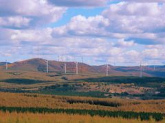 -塞罕坝国家级自然保护区