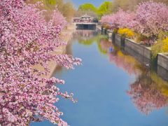 -元大都城垣遗址公园