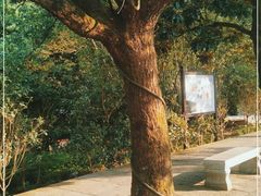 -奉化市溪口蒋氏千层饼厂