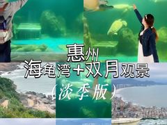 -广东惠东海龟国家级自然保护区