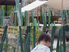 -MOJ coffee(瓯海泽雅水碓坑店)