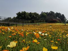 -保利石象湖景区