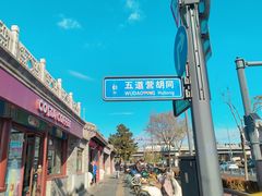 -三里屯东五街银杏大道
