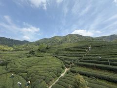 -香芙茗茶楼(梅家坞总店)
