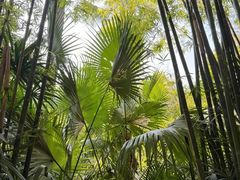 -人民公园(罗湖区)