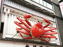 -蟹道乐(道顿堀本店)