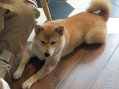 -About Bistro關於·泰式家庭料理