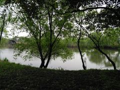 -长兴太湖图影湿地文化园