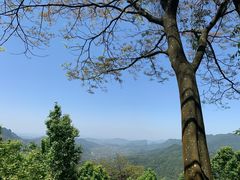 -广州市石门国家森林公园